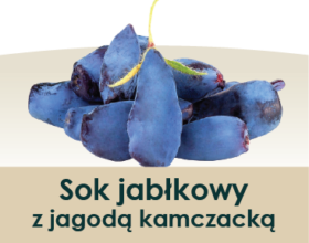 soki_symbole-owocow_jagoda kamczacka