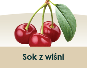 soki_symbole-owocow_wisnia-39